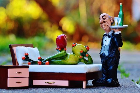 青蛙，床，手术，管家，放松，休息，有趣，可爱