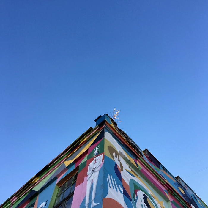 低角度视图，建筑，天空，晴朗的天空，蓝色，多色，建筑外观，建筑结构