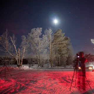 夜间在树附近准备黑色三脚架的人