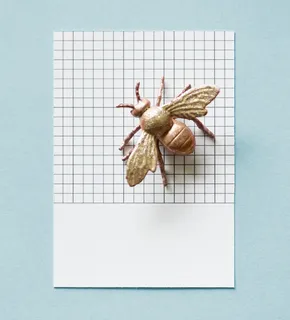 白色表面金色蜜蜂装饰