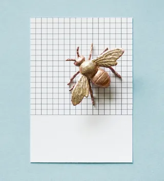 白色表面金色蜜蜂装饰