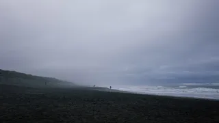 白天人们在海边的剪影