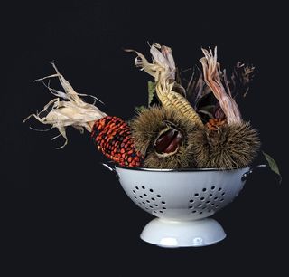 过滤器上的玉米、棕色、黄色、玉米、白色、碗、玉米棒上的玉米、厨房