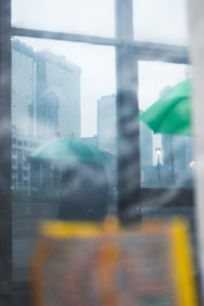 城镇、城市、大都市、建筑、城市、自然、户外、雨伞