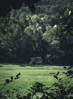 树旁的棕色房子 树旁的棕色房子