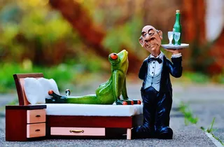 青蛙，床，手术，管家，放松，休息，有趣，可爱