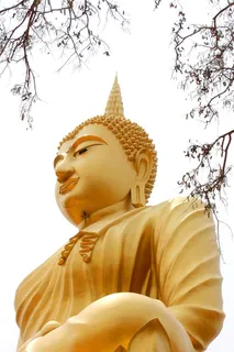 地标、坐像、树枝、树叶、古代、古董、亚洲、亚洲 地标、坐像、树枝、树叶、古代、古董、亚洲、亚洲