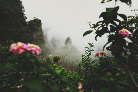 印度、rishikesh、宁静、宜人、北阿坎德、季风、灵魂、景观