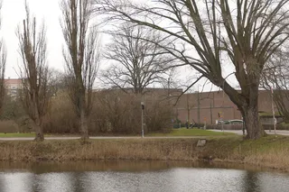 瑞典, 马尔默, 马尔默, 树, 标志, 路, 湖, 树