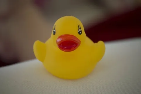 鸭子,游泳,湿,玩具,橡胶鸭子,浴室配件,黄色,室内 鸭子,游泳,湿,玩具,橡胶鸭子,浴室配件,黄色,室内