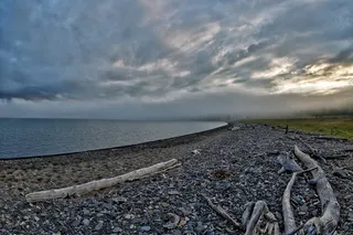 传真，湖，早晨，浓雾，传真湖，早上，浓雾、浮木