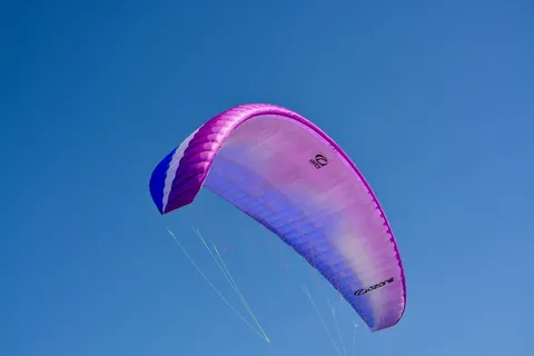 滑翔伞，滑翔伞，臭氧翼，流动蓝紫色，飞机，飞行，飞行，运动