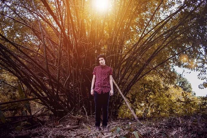 男人，人，公园，树，男孩，日光，迪亚米斯·克莱伯，漂亮