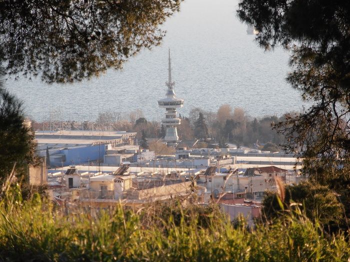 阿诺·波利（ano poli）、上城（upper town）、城堡（castle）、古城（old city）、塞萨洛尼基（thessaloniki）、希腊（greece）、奥特塔（ote tower）、树（tree）
