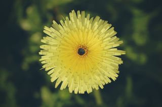 摩洛哥, asilah, 女孩, 创辉, unsplash, 爱情, 甜心, 可爱