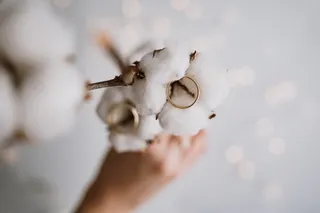 两枚金色结婚戒指