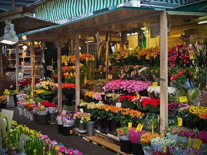 市场,花卉,农民本地市场,花卉,花卉贸易,市场摊位,花卉出售,植物 市场,花卉,农民本地市场,花卉,花卉贸易,市场摊位,花卉出售,植物