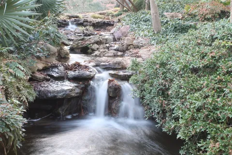 河, 自然, 花园, 植物园, 达拉斯, 达拉斯植物园, 德州 河, 自然, 花园, 植物园, 达拉斯, 达拉斯植物园, 德州