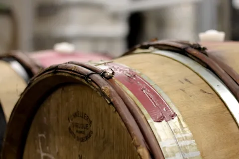 酒桶，酒桶，酒窖，桶，圆筒，木质材料，室内，鼓-打击乐器