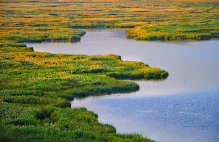伊朗, 泽里巴尔湖, 壁纸, 绿色, 湖, 自然, 景观, طبیعت