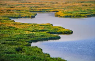 伊朗, 泽里巴尔湖, 壁纸, 绿色, 湖, 自然, 景观, طبیعت
