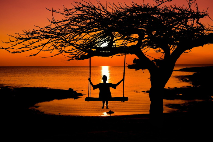 人，摇摆的剪影，日落，太阳，夜空，落日，abendstimmung，天空
