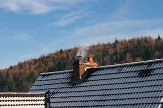 霜, 树林, 雪, 雪, 树, 树, 叶子, 树枝