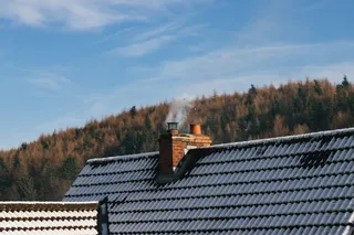 霜, 树林, 雪, 雪, 树, 树, 叶子, 树枝