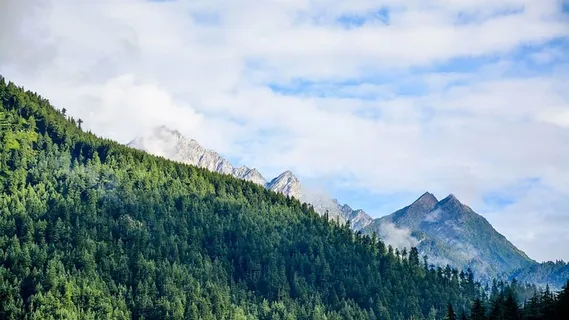 森林,风景,山脉,自然,风景,树木,天空,树木 森林,风景,山脉,自然,风景,树木,天空,树木