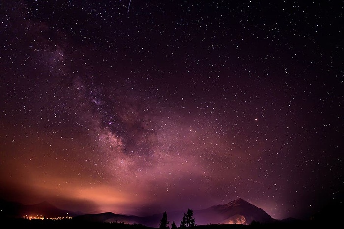 剪影，树木，繁星点点的夜晚，风景，繁星点点的夜晚，天空，自然