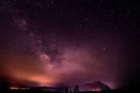 剪影,树木,繁星点点的夜晚,风景,繁星点点的夜晚,天空,自然 剪影,树木,繁星点点的夜晚,风景,繁星点点的夜晚,天空,自然