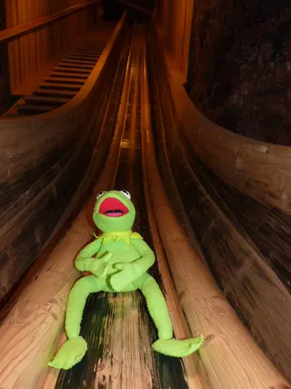 frog，kermit，slip，mine，salt mine，室内，木材，表示