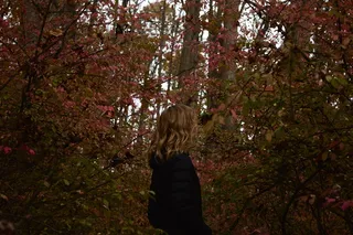 树，森林，秋天，秋天，十一月，树枝，树枝，女孩