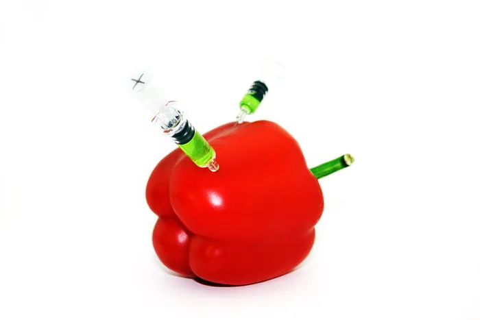 危险、食品、生物技术、化学、化学、遗传、健康