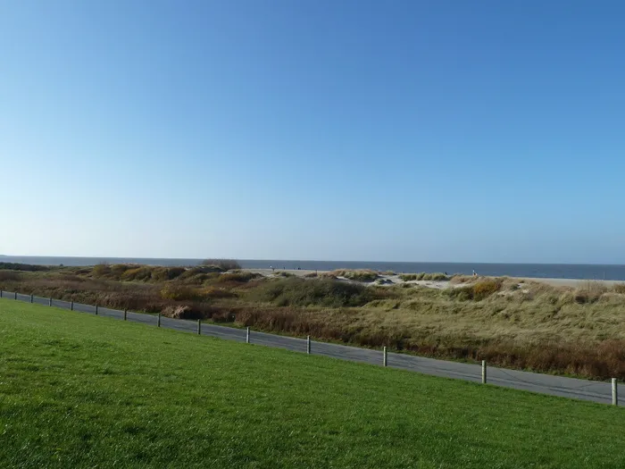 东弗里西亚、海洋、海岸、诺德伊奇、德国、天空、草地、植物