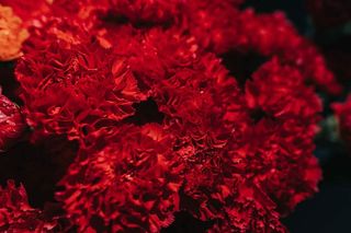 五颜六色的花束收藏