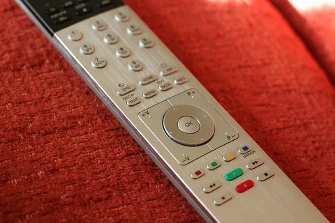 遥控器、lion、loewe assist、电视、dvd刻录机、音响系统、家庭娱乐、红色 遥控器、lion、loewe assist、电视、dvd刻录机、音响系统、家庭娱乐、红色