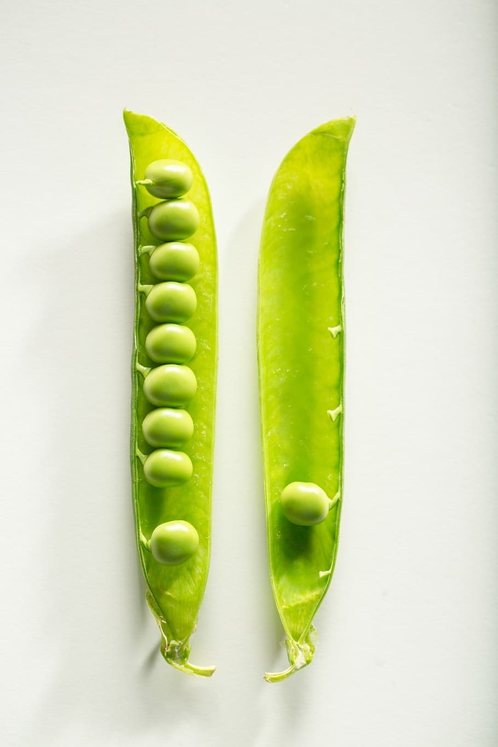 绿豆荚