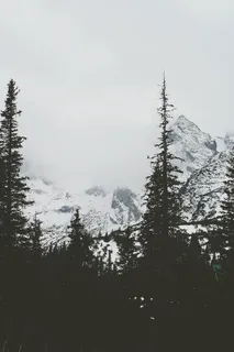 多云,雾,森林,山脉,雪,冬天,自然,山脉 多云,雾,森林,山脉,雪,冬天,自然,山脉