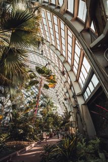 建筑物内的植物