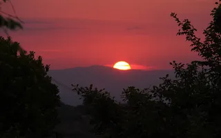 意大利，托斯卡纳，日落，大自然之美，天空，植物，风景-大自然，树木
