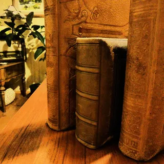 书脊,书籍,古董,旧,旧书,古董,皮革封面,棕色 书脊,书籍,古董,旧,旧书,古董,皮革封面,棕色