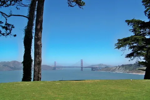 金门大桥,美国,旧金山,大桥,吊桥,加利福尼亚,植物,树木 金门大桥,美国,旧金山,大桥,吊桥,加利福尼亚,植物,树木