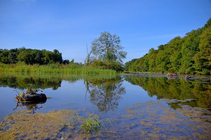 湖泊，天空，风景，自然，水，倒影，树木，蓝色