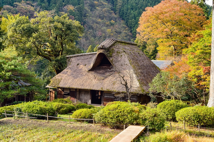 日本，景观，日本风格，老房子，茅草屋顶，秋叶，日本景观，植物