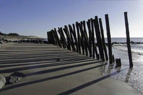海洋，海滩，黑熊，微风，波浪，水，天空，海洋，自然
