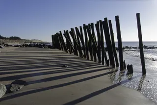 海洋，海滩，黑熊，微风，波浪，水，天空，海洋，自然
