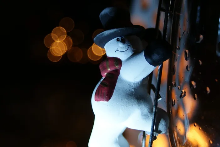 圣诞节，雪人，博克，十二月，人物，光，热，规模