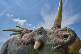 恐龙、象牙、灭绝、人造、天空、头部、动物、动物主题