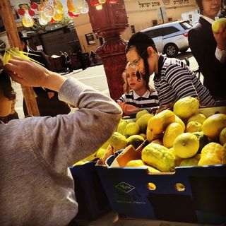 美国、纽约、威廉斯堡、儿童、犹太人、食品和饮料、水果、真人
